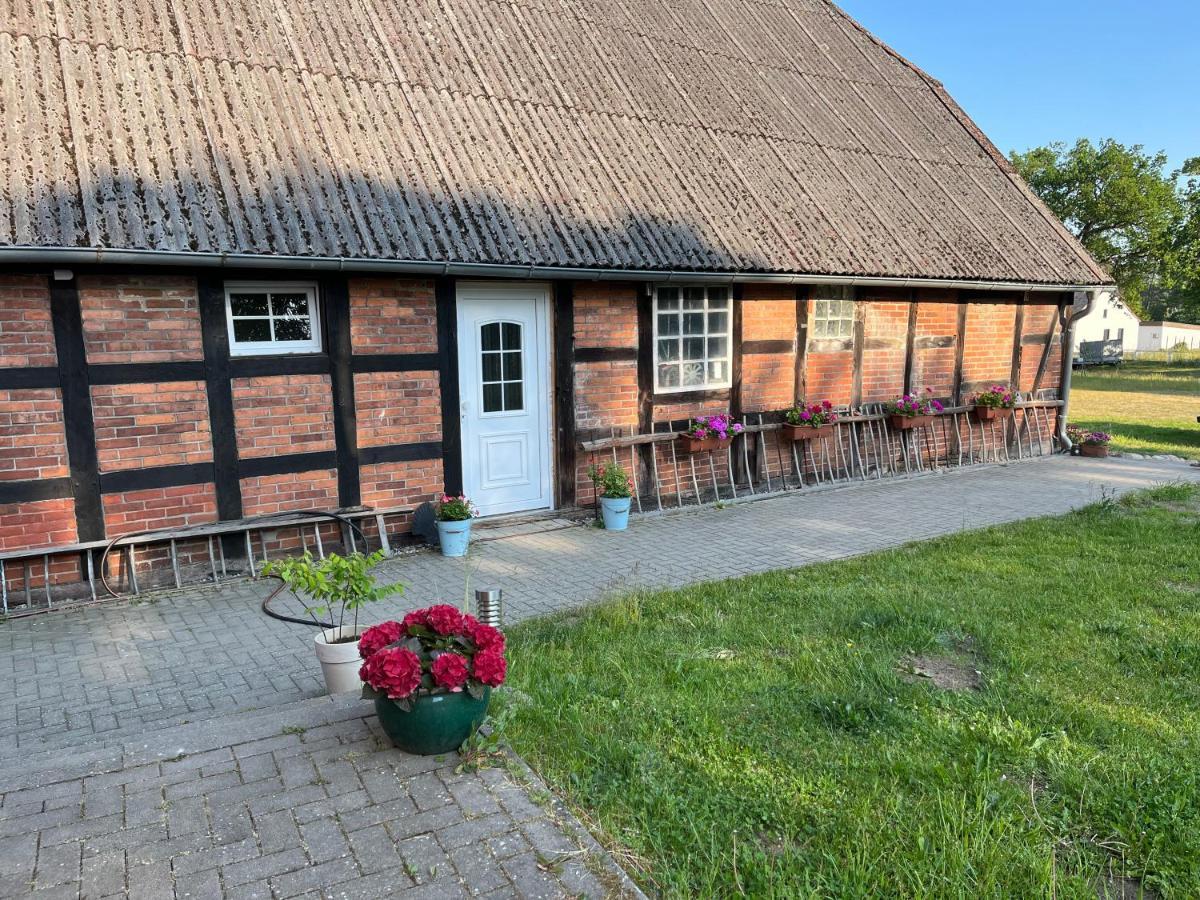 Ferienwohnung Elbsegler Bleckede Exterior photo